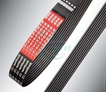 44 яяРемень 1510 (поликлин.) TruckPOWER