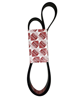 ЯЯРемень 1615 (поликлин) 8PK КАМАЗ-ЕВРО дв.CUMMINS PRAVT