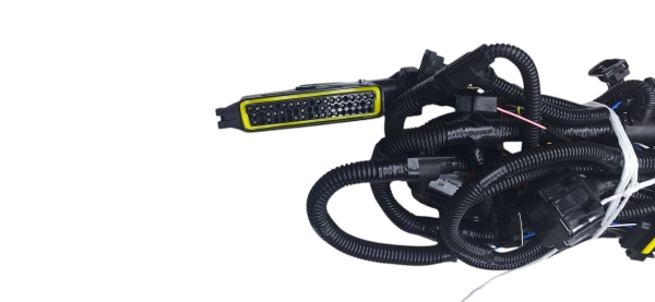 Жгут блока управления ЗМЗ-405 Г-ль, Соб-ль без L-зонда, под Микас-7.1 (2005-2006гг) Евро-0