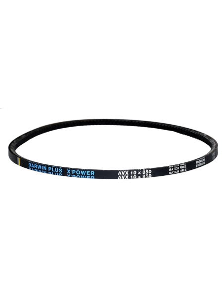 Ремень 850 (AVX 10) зуб. клиновой МАЗ 500 Darwin Plus
