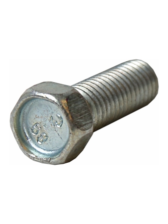 Винт М10х22 петли двери В-га