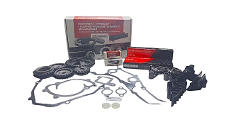 Комплект ГРМ ПРОФЕССИОНАЛ ЗМЗ 405/406/409 Евро-3 (Рычаги, цепи Киров) LSG