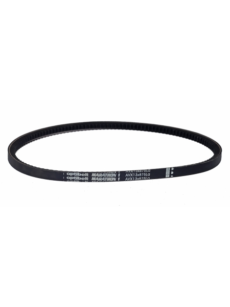 Ремень 875 (AVX 13) зубчатый