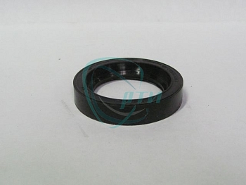 Сальник КПП (удлиннителя) 38х56х10