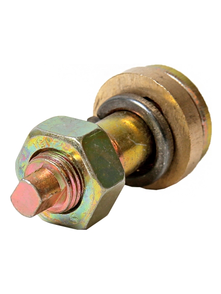 Болт эксцентрик зад.торм.колодок в сборе В-га