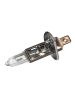Лампа фар H1 24V-70W P14.5S Маяк
