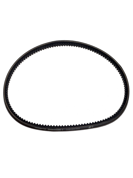 Ремень  875 (AVX 13) зубчатый 
